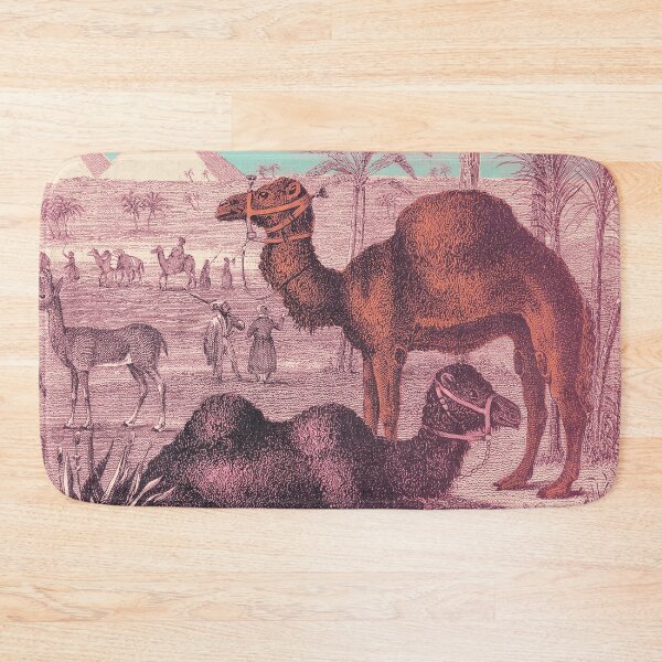 Item preview, vintage camels, pyramids, adventures in Egypt designed and sold by Mauswohn.