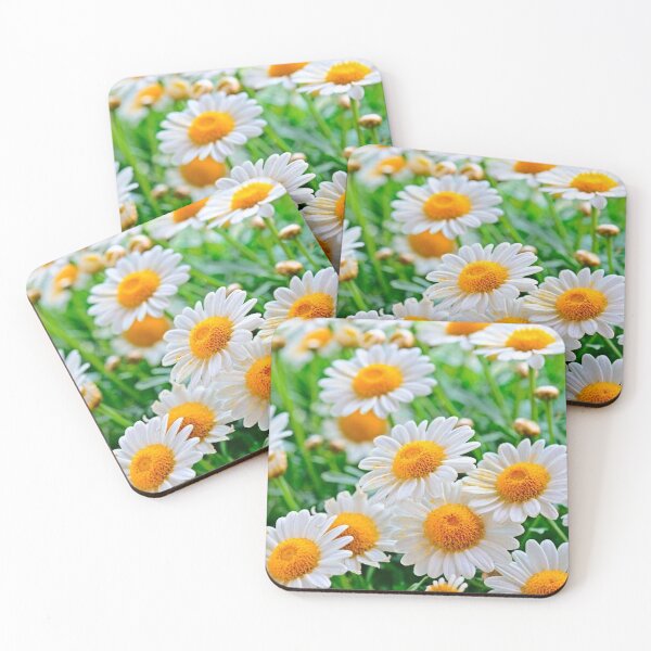 Item preview, Chamomile and summer designed and sold by Kiraslife.