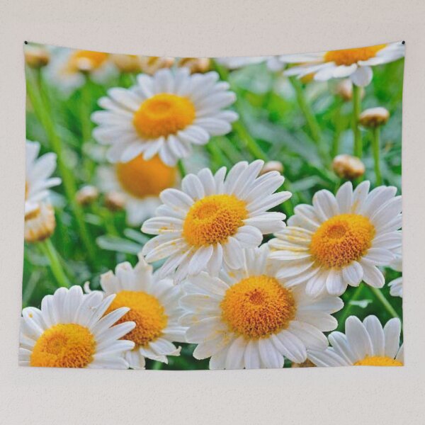 Item preview, Chamomile and summer designed and sold by Kiraslife.