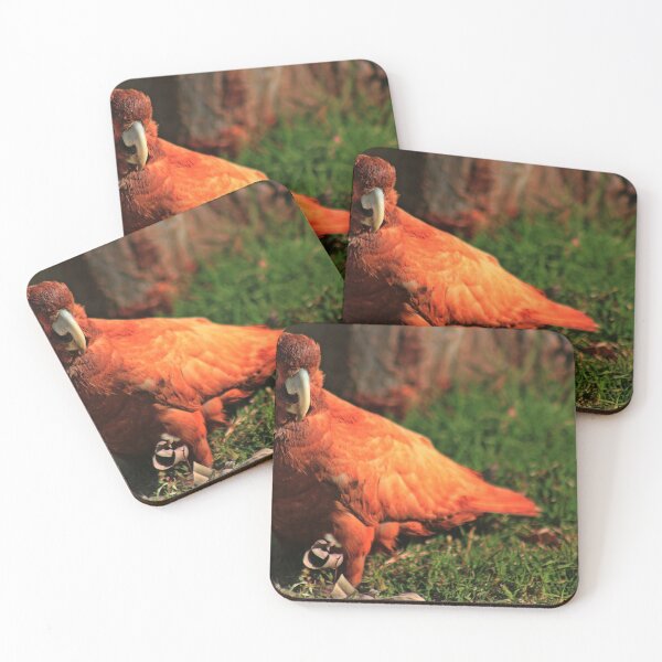 Item preview, A (not so) white Corella designed and sold by myraj.