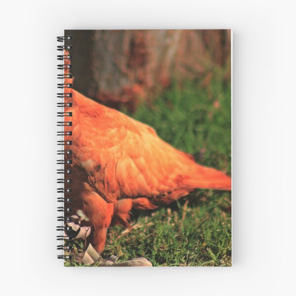 Item preview, A (not so) white Corella designed and sold by myraj.