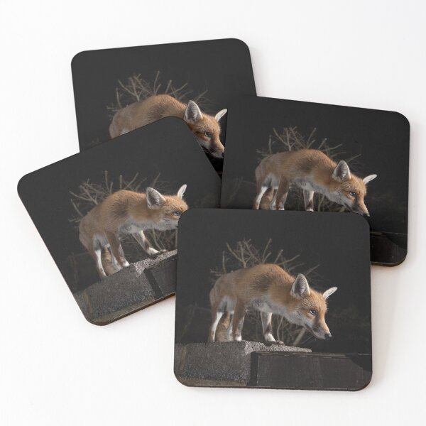 Item preview, Fox stood on a wall designed and sold by toms206.