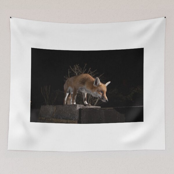 Item preview, Fox stood on a wall designed and sold by toms206.