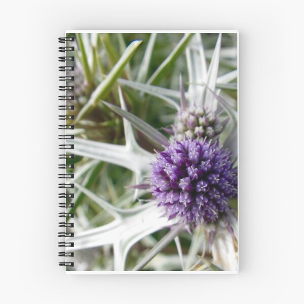 Item preview, Sharp Spines, Delicate Flower designed and sold by Nathaniel Poetker.