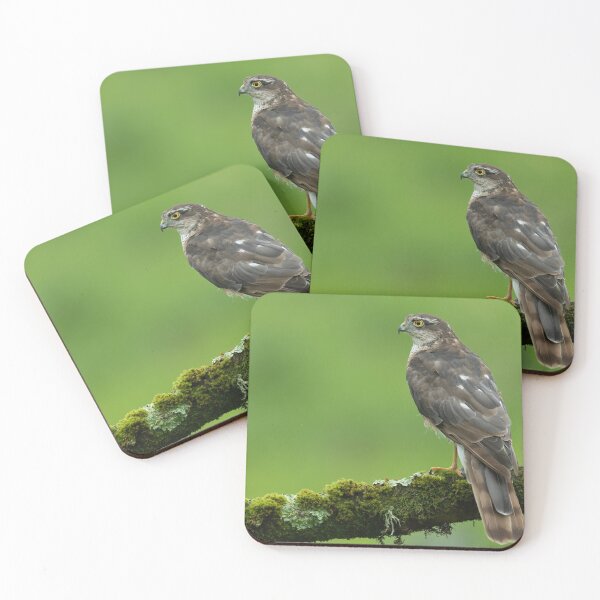 Item preview, The amazing Sparrowhawk perched on a branch designed and sold by toms206.