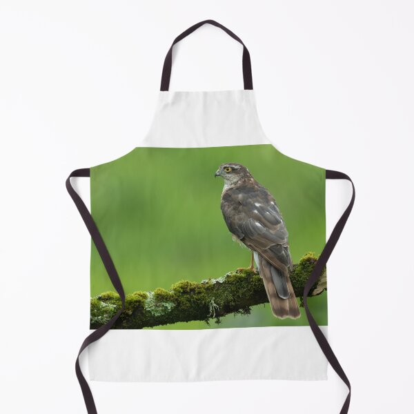 Item preview, The amazing Sparrowhawk perched on a branch designed and sold by toms206.
