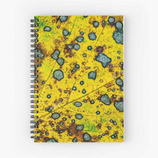 Item preview, Yellow Decaying Leaf Macro Texture Dying Decomposing Nature #5 designed and sold by BadgerCastle.