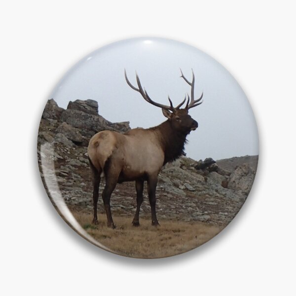 Item preview, Elk - Rocky Mountan NP designed and sold by ArtworkOfSam.