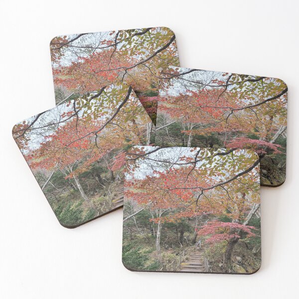 Item preview, Halla-Mountain autumn leaves , Jeju Island, Korea. designed and sold by human8891.