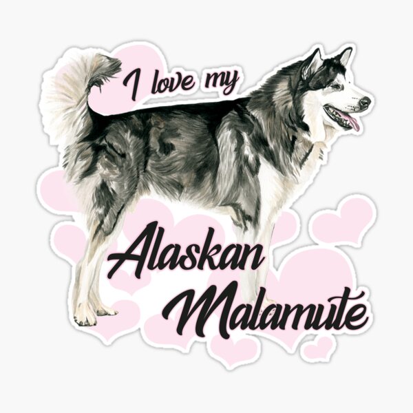 Infinite Alaskan Malamute Love Women's Sweatshirt