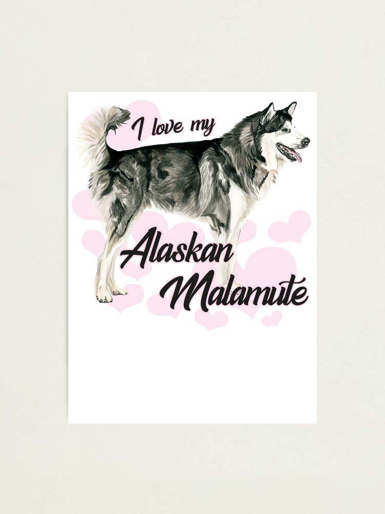 Infinite Alaskan Malamute Love Women's Sweatshirt