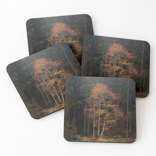 Item preview, Autumn Tree, Callendar Park designed and sold by AJPhotography90.