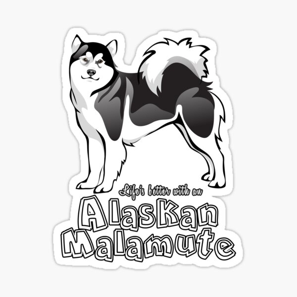 Funny Alaskan Malamute Stickers for Sale | Redbubble Funny Alaskan Malamute Stickers for Sale | Redbubble
