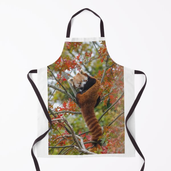Item preview, Autumnal Red Panda in leaves designed and sold by photosbygemmad.