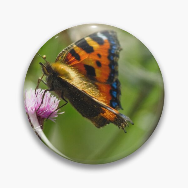 Item preview, Tortoiseshell butterfly from Dove Stone Reservoir Sep-2020 designed and sold by PicsByTony.