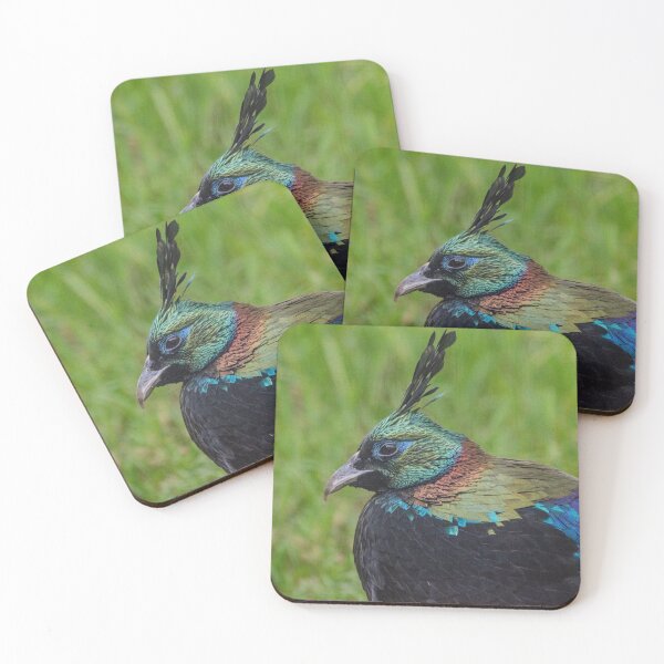 Item preview, Himalayan Monal Rainbow bird designed and sold by photosbygemmad.