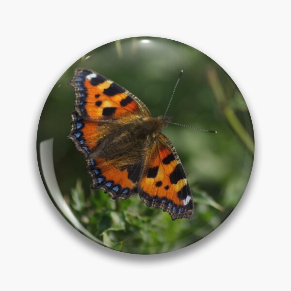 Item preview, Tortoiseshell butterfly from Dove Stone Reservoir Sep-2020 designed and sold by PicsByTony.