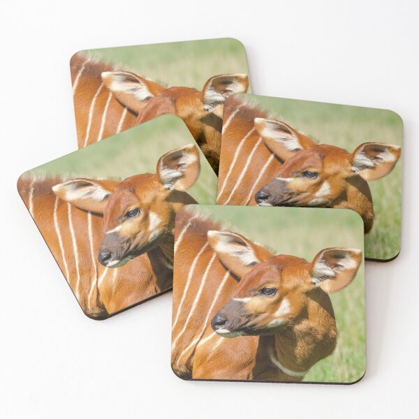 Item preview, Bongo calf portrait designed and sold by photosbygemmad.