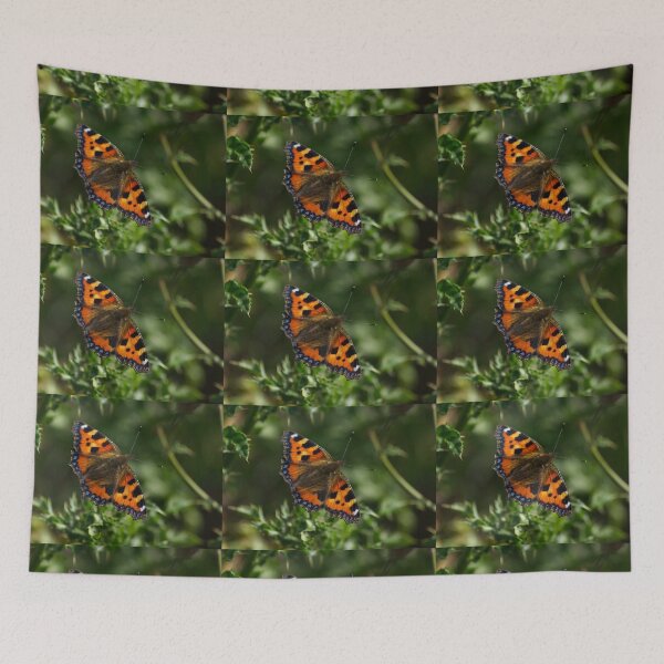 Item preview, Tortoiseshell butterfly from Dove Stone Reservoir Sep-2020 designed and sold by PicsByTony.