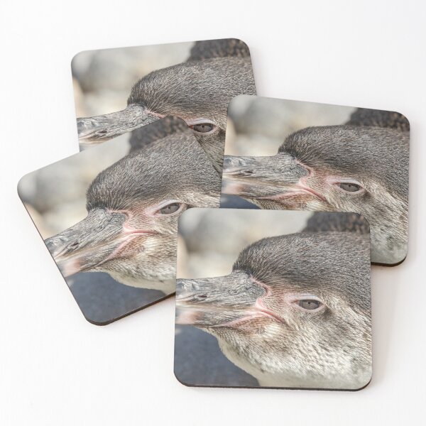 Item preview, Penguin chick designed and sold by photosbygemmad.