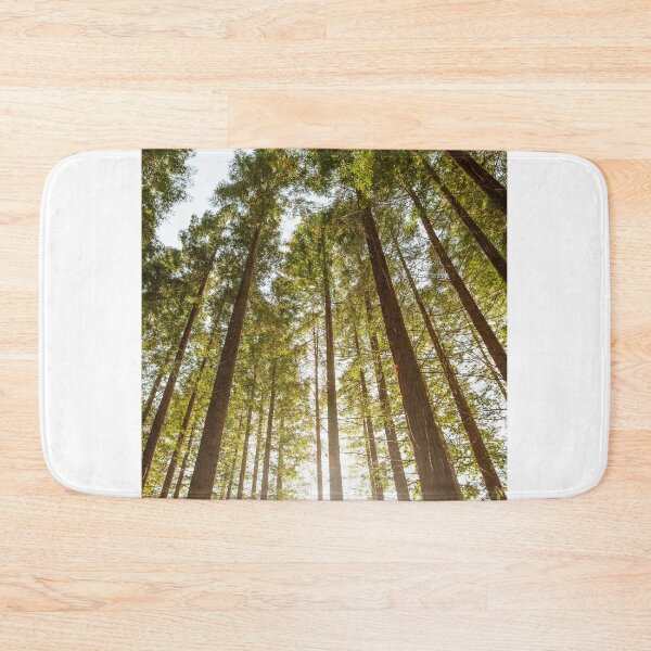 Item preview, Redwood forest designed and sold by MarioGuti.