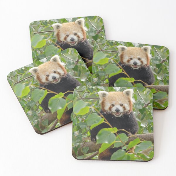 Item preview, Cute red panda in the tree designed and sold by photosbygemmad.