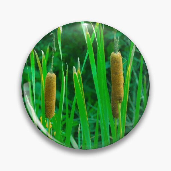 Item preview, Cat Tails designed and sold by Shannon Bosley.