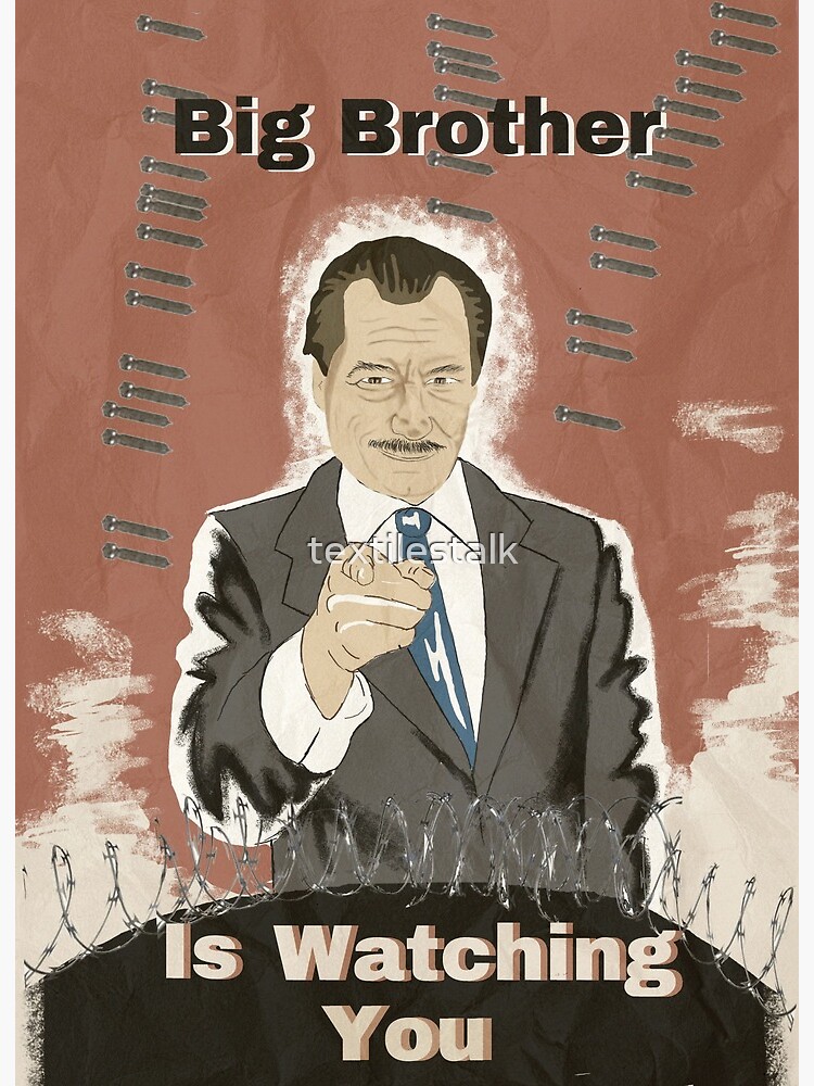 1984 George Orwell Big Brother - 1984 - Posters and Art Prints