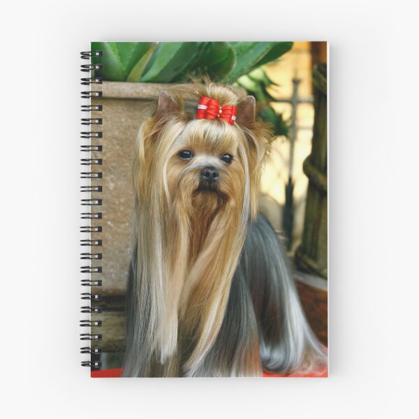 Item preview, Yorkshire Terrier dog pets dogs cute sweet designed and sold by Coolstuff4you71.
