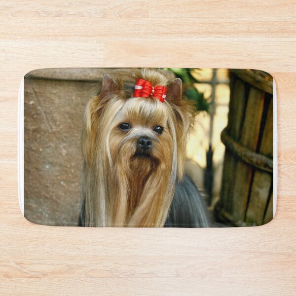 Item preview, Yorkshire Terrier dog pets dogs cute sweet designed and sold by Coolstuff4you71.