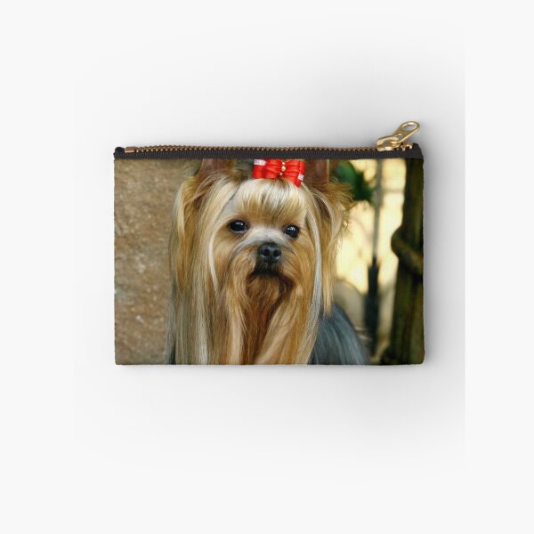 Item preview, Yorkshire Terrier dog pets dogs cute sweet designed and sold by Coolstuff4you71.