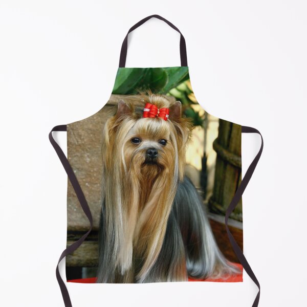 Item preview, Yorkshire Terrier dog pets dogs cute sweet designed and sold by Coolstuff4you71.