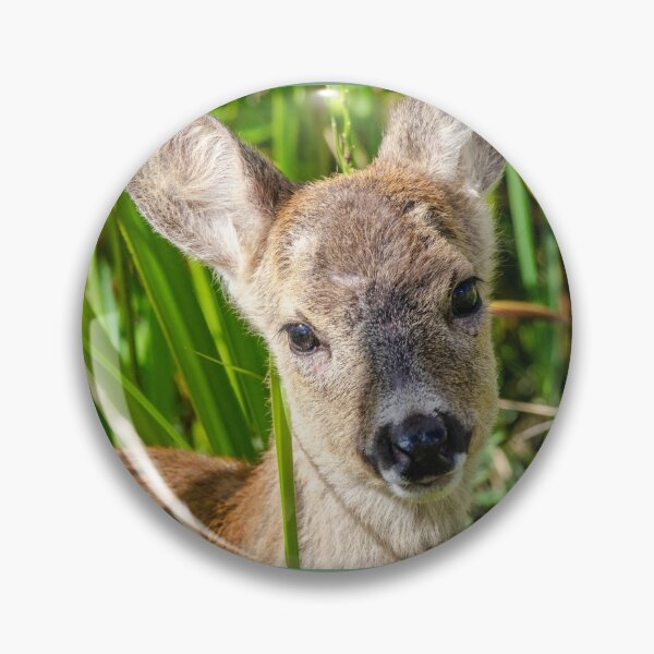 Item preview, Baby Roe Deer designed and sold by photosbygemmad.