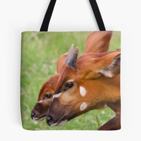 Item preview, Sisterly love designed and sold by photosbygemmad.