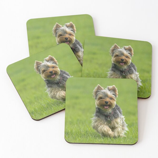 Item preview, Yorkshire Terrier dog pets dogs cute sweet designed and sold by Coolstuff4you71.
