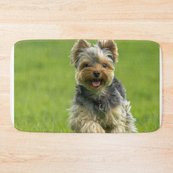 Item preview, Yorkshire Terrier dog pets dogs cute sweet designed and sold by Coolstuff4you71.