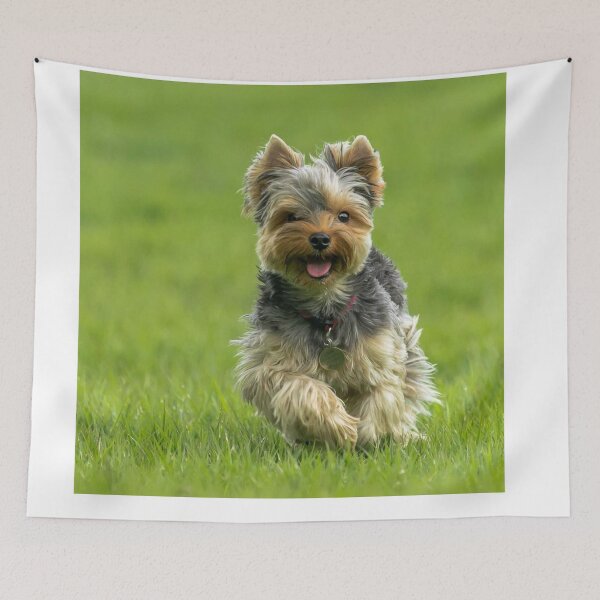 Item preview, Yorkshire Terrier dog pets dogs cute sweet designed and sold by Coolstuff4you71.