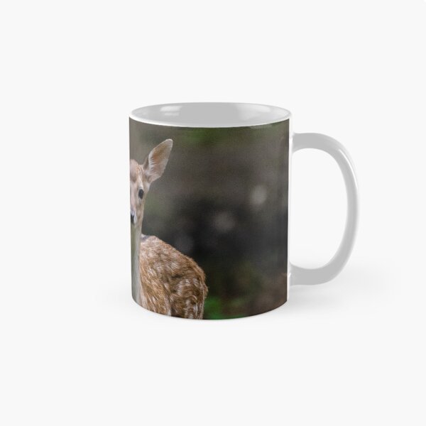 Item preview, Baby deer in woods designed and sold by photosbygemmad.