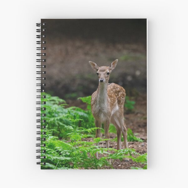 Item preview, Baby deer in woods designed and sold by photosbygemmad.