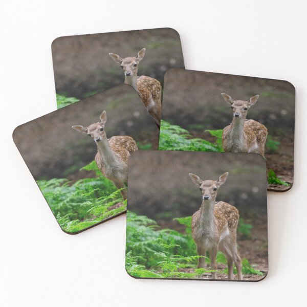 Item preview, Baby deer in woods designed and sold by photosbygemmad.