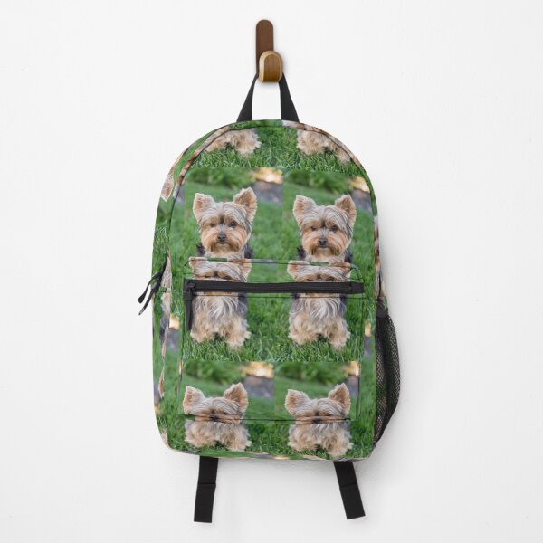 Item preview, Yorkshire Terrier dog pets dogs cute sweet designed and sold by Coolstuff4you71.