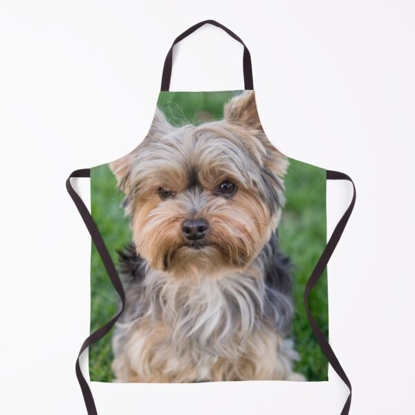 Item preview, Yorkshire Terrier dog pets dogs cute sweet designed and sold by Coolstuff4you71.