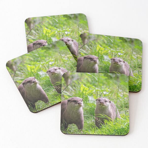 Item preview, Otter friends in grass designed and sold by photosbygemmad.