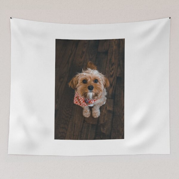 Item preview, Cute Christmas Dog  designed and sold by JonesyDave.