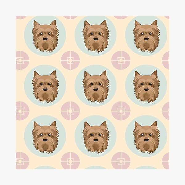 Item preview, Yorkshire Terrier dog pets dogs cute sweet designed and sold by Coolstuff4you71.