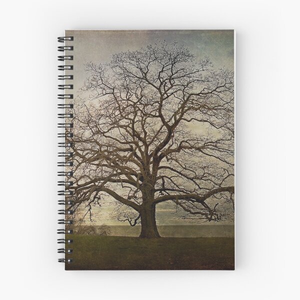 Item preview, The Old Oak Tree designed and sold by MClementReilly.