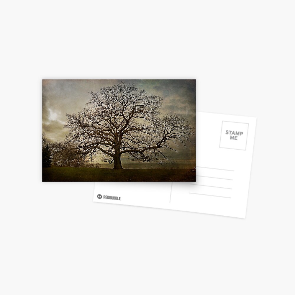 Item preview, Postcard designed and sold by MClementReilly.