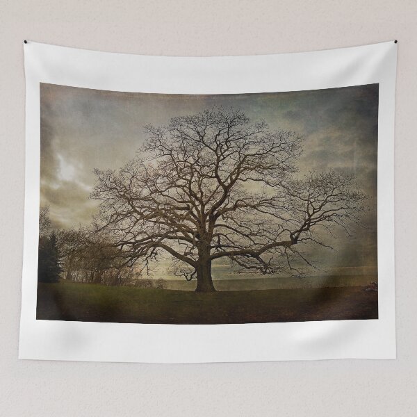 Item preview, The Old Oak Tree designed and sold by MClementReilly.