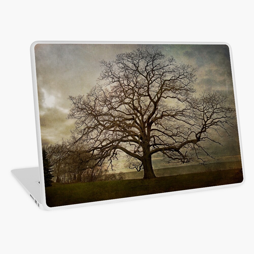 Item preview, Laptop Skin designed and sold by MClementReilly.