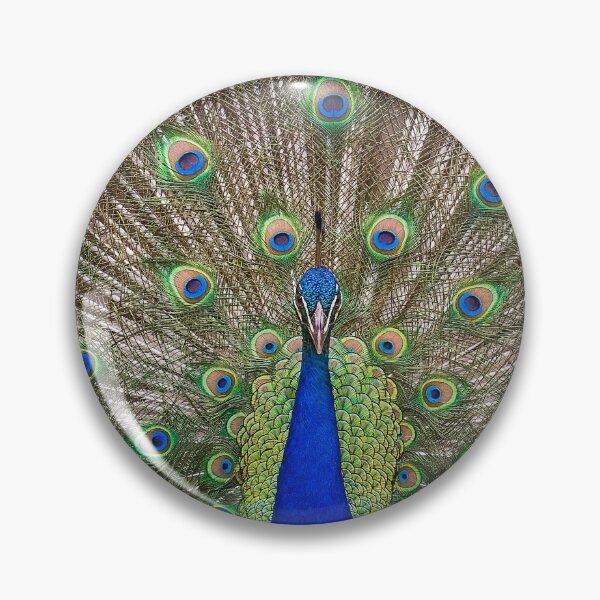 Item preview, NOLA Peacock designed and sold by MClementReilly.
